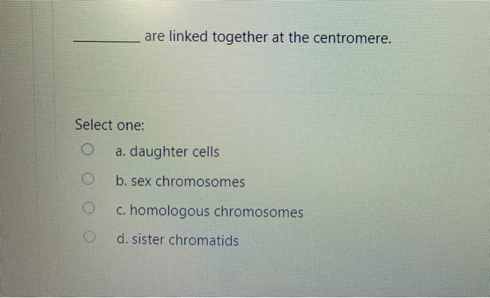 Solved If it were to be stretched out, the DNA in one of | Chegg.com