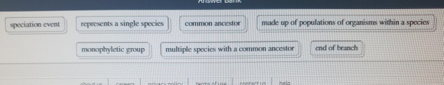 Solved me phylogenetic tree shows the evolutionary | Chegg.com
