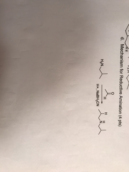 Solved Mechanism For Reductive Amination Chegg Com