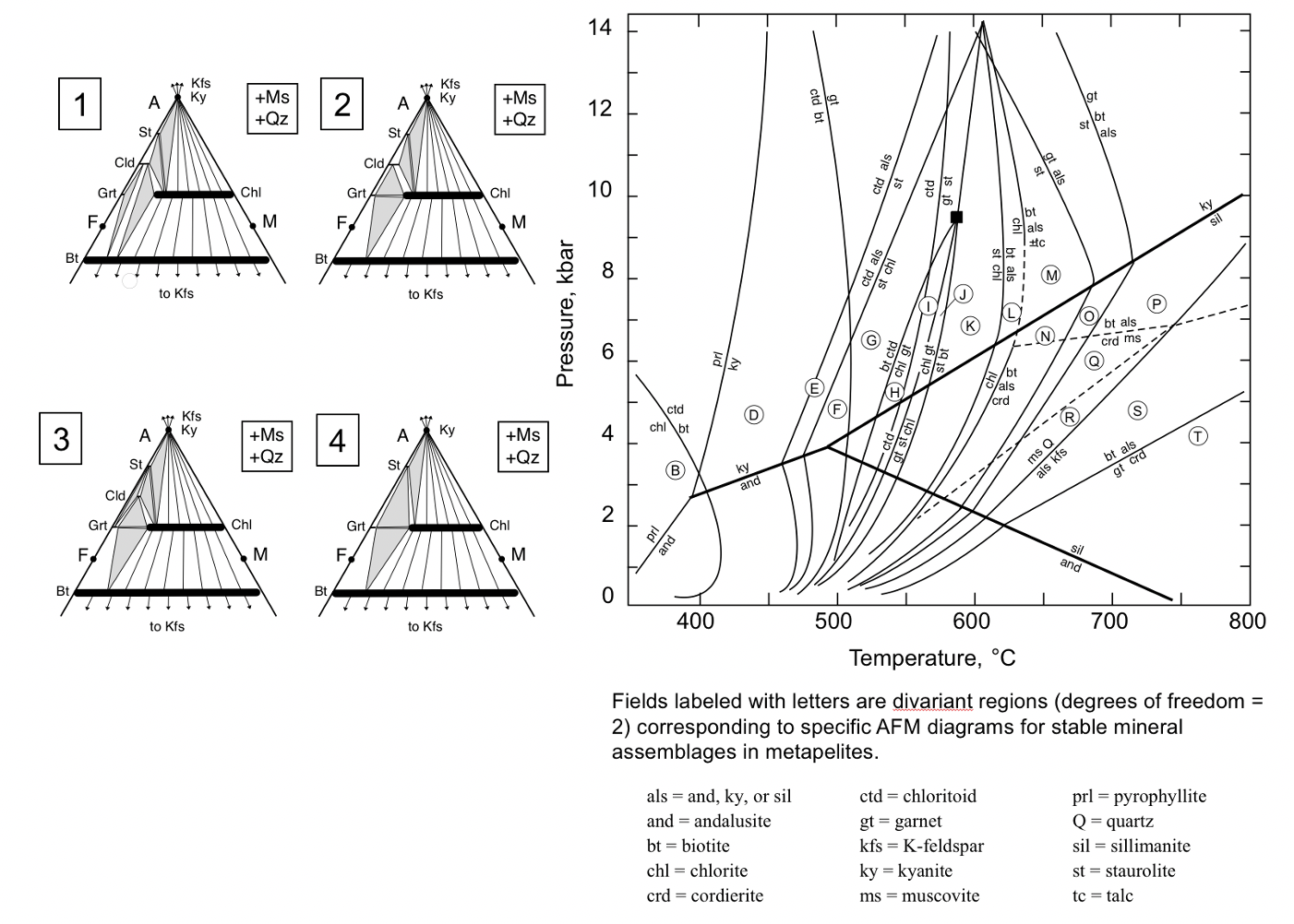 Solved Stable mineral assemblages in metapelites are studied | Chegg.com