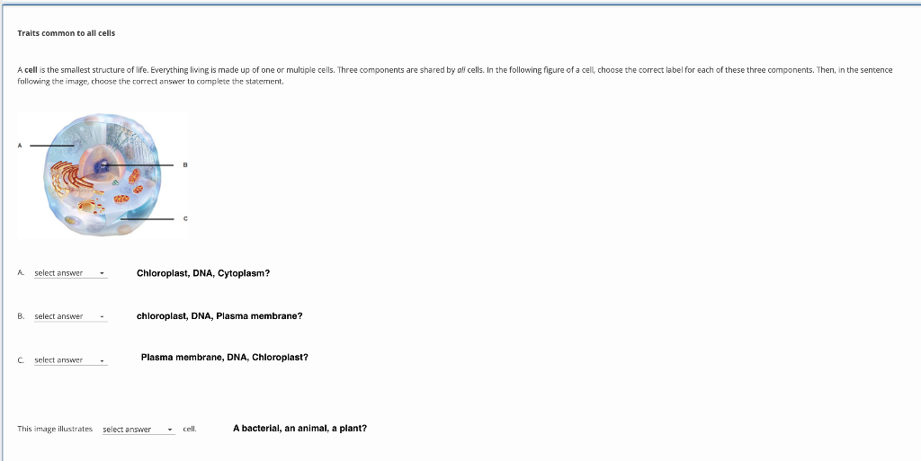 Solved Cell Theory Which Of The Following Statements Is Not Chegg