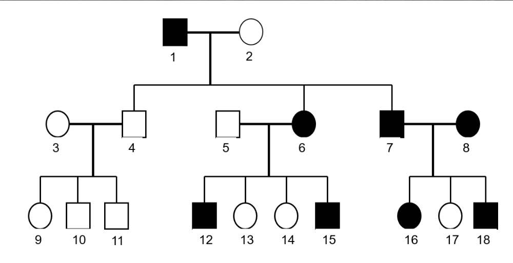 Solved The following pedigree represents a family with | Chegg.com