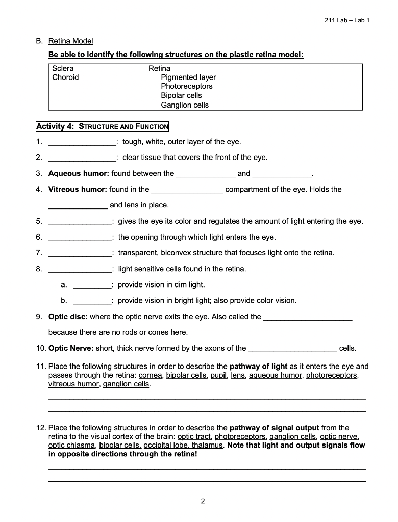 Solved 211 Lab-Lab 1 B. Retina Model Be able to identify the | Chegg.com