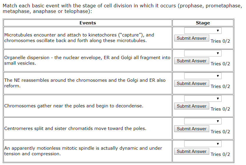 Solved Match each basic event with the stage of cell | Chegg.com