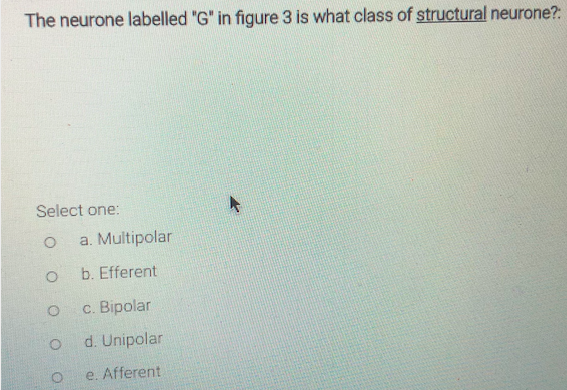Solved Left Right F- H The following structure in figure 3 | Chegg.com