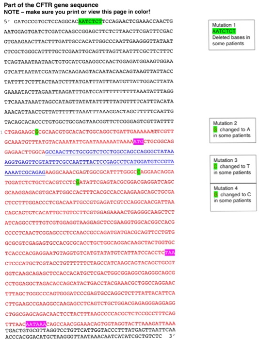 Solved Mutations and Disease DNA is constantly subject to | Chegg.com