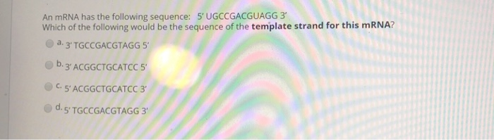Solved An mRNA has the following sequence: 5' UGCCGACGUAGG 3 | Chegg.com