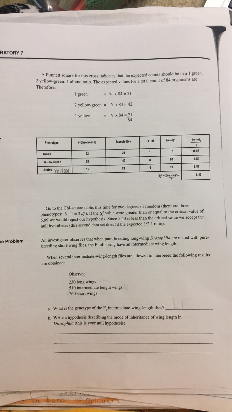 Solved 89. LABORATORY 7 c. Complete the following table: | Chegg.com