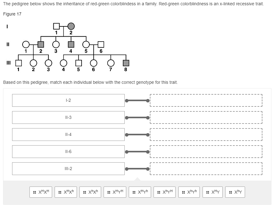 Solved The pedigree below shows the inheritance of red-green | Chegg.com
