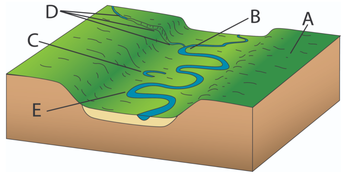 Solved In the cartoon above, what process is likely to | Chegg.com