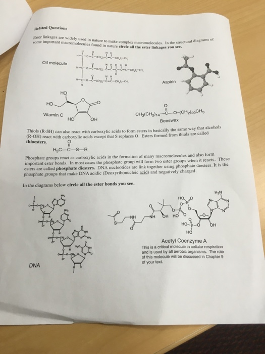 Solved Ester linkages are widely used in nature to make