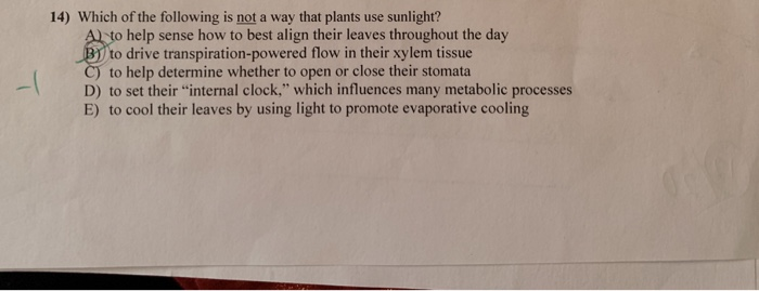 Solved 14) Which of the following is not a way that plants | Chegg.com