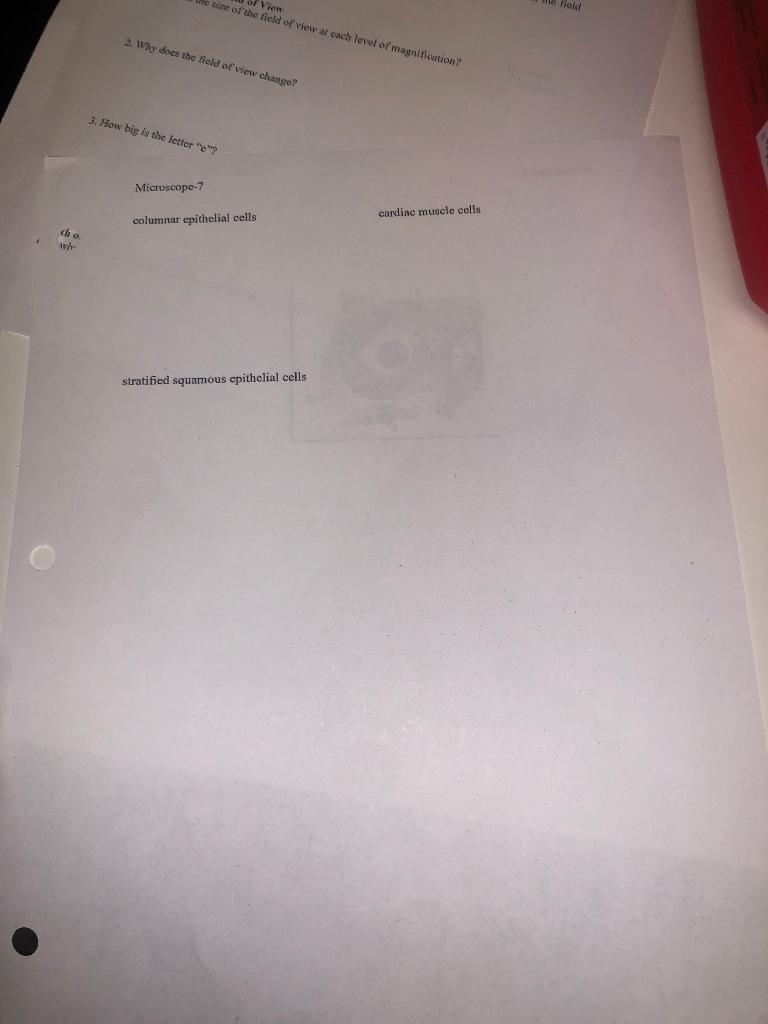 sineren Hok of view at each level of magnification? 2. Why does the field of view change? 3. How big is the letter e Micros