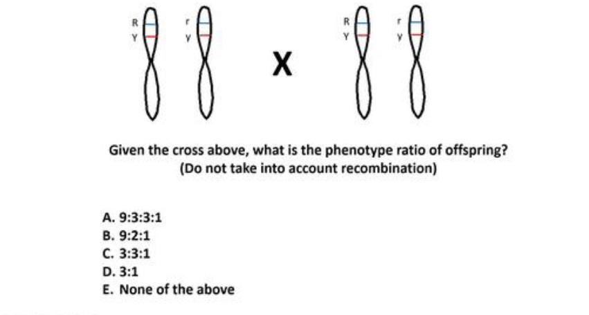 Solved Can someone please walk me through how to go about | Chegg.com