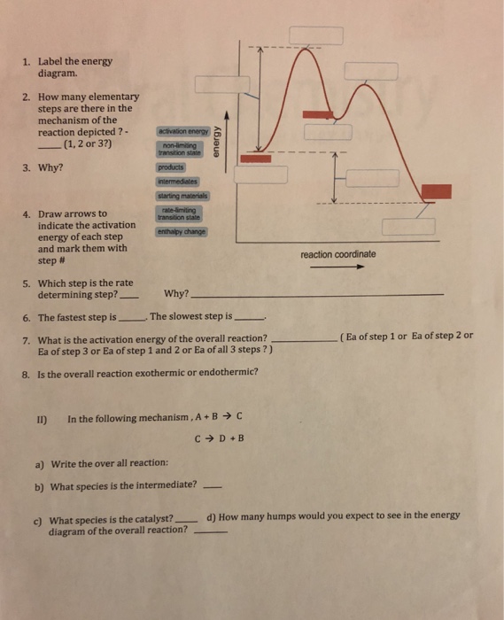 Solved Label The Energy Diagram 1 2 How Many Elementary