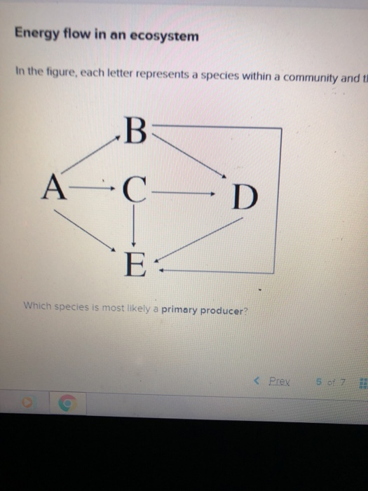 Solved In the figure, each letter represents a species | Chegg.com