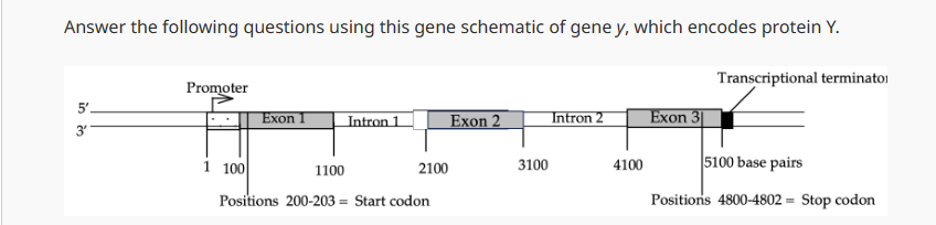 Solved Using the above schematic, is this gene from a | Chegg.com