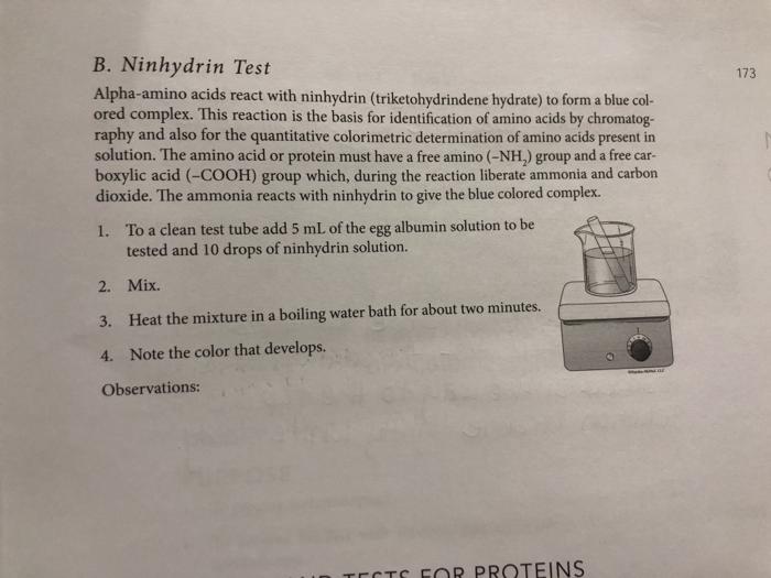 Solved B. Ninhydrin Test Alphaamino acids react with