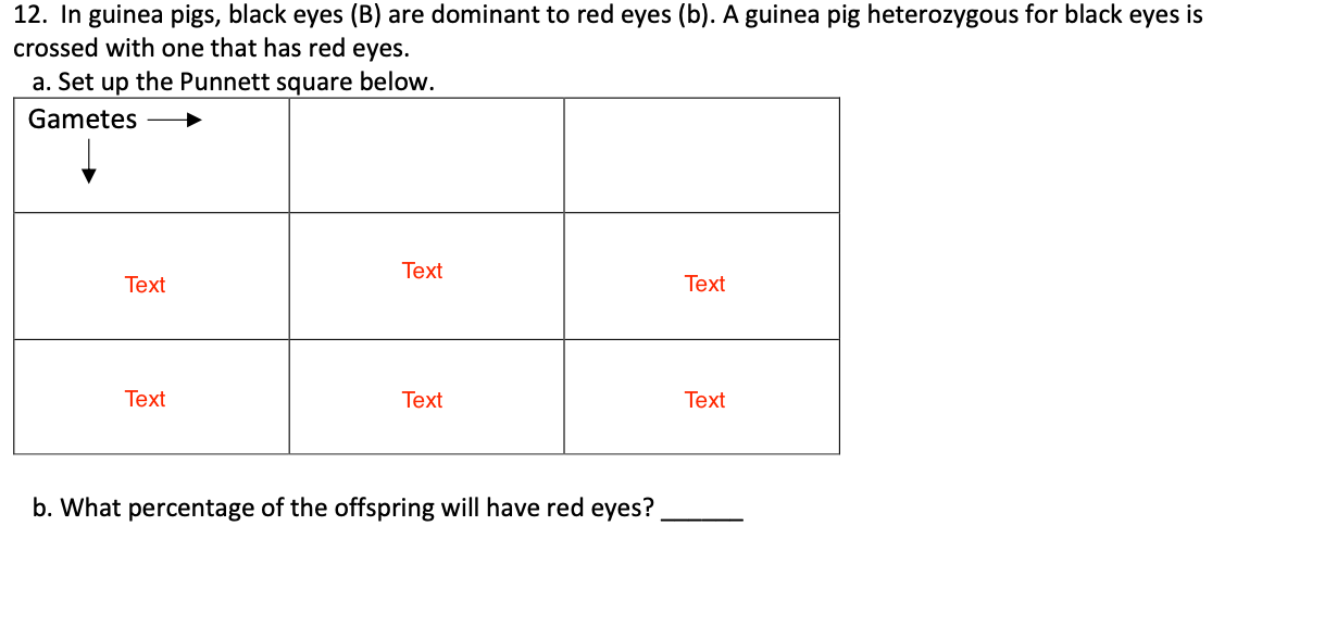 12. In guinea pigs, black eyes (B) are dominant to red eyes (b). A guinea pig heterozygous for black eyes is crossed with one