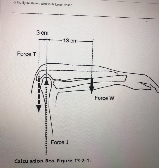 Solved For the figure shown, what is its Lever class? 3 cm