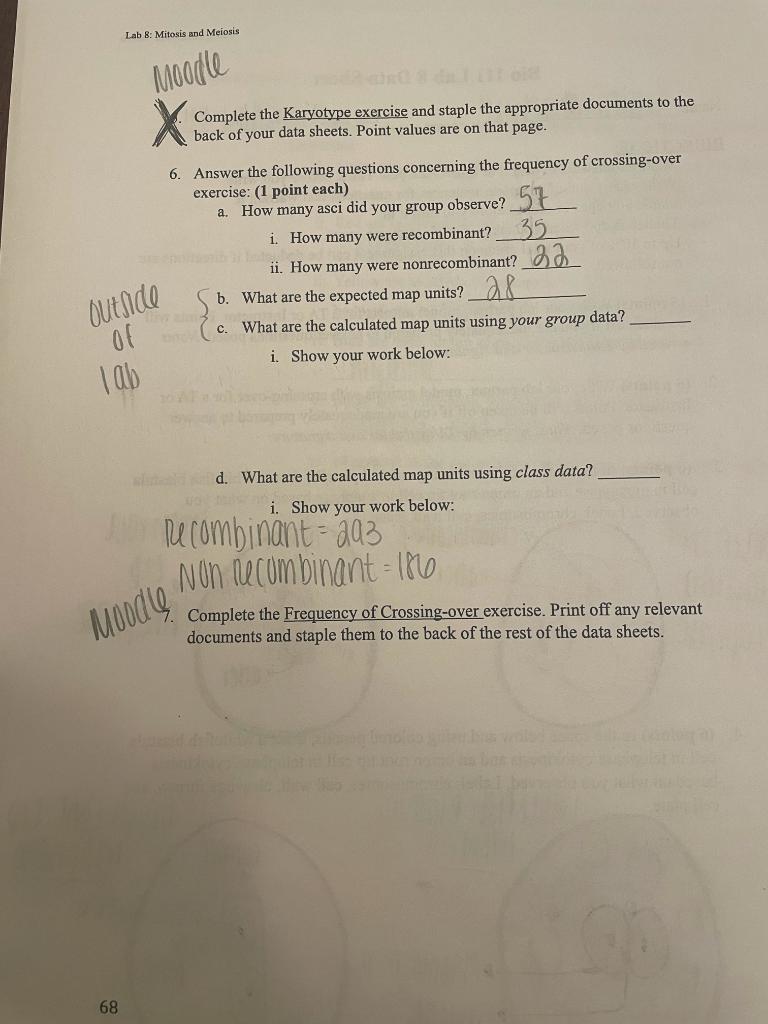 Lab 8 Mitosis and Meiosis moodle Complete the