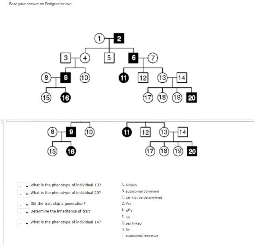 Solved Base your answer on Pedigree below: 2 3 01 5 6 00 10 | Chegg.com