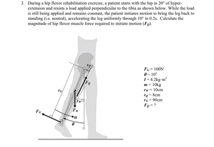 Solved 3. During A Hip Flexor Rehabilitation Exercise, A 