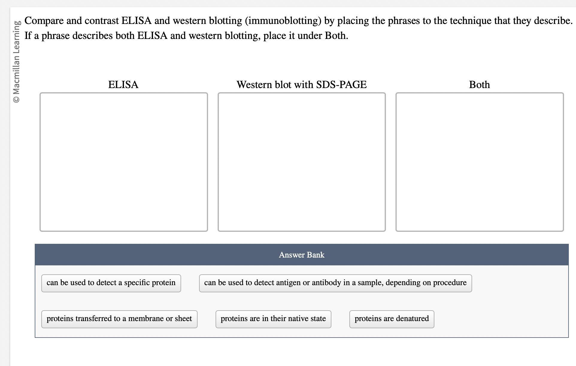 Solved And Compare And Contrast ELISA And Western Blotting Chegg Com   Screenshot2024 02 08at12.41.55PM 