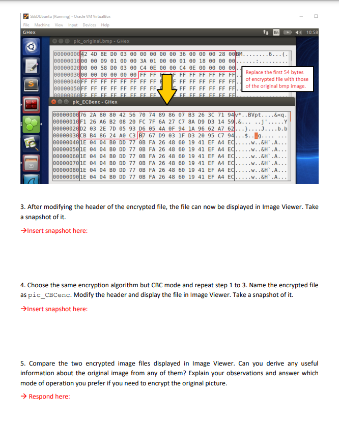 Solved Lab Tasks: Task 1: Encryption And Decryption Using | Chegg.com