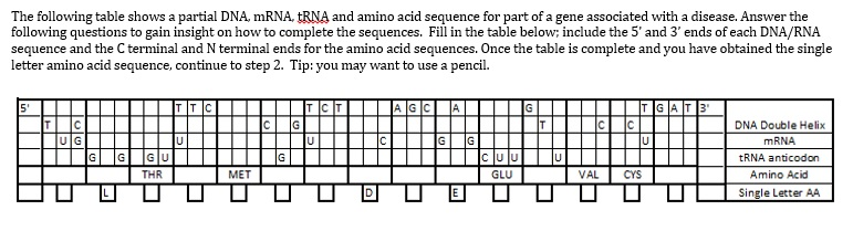 Solved The following table shows a partial DNA, mRNA, tRNA | Chegg.com