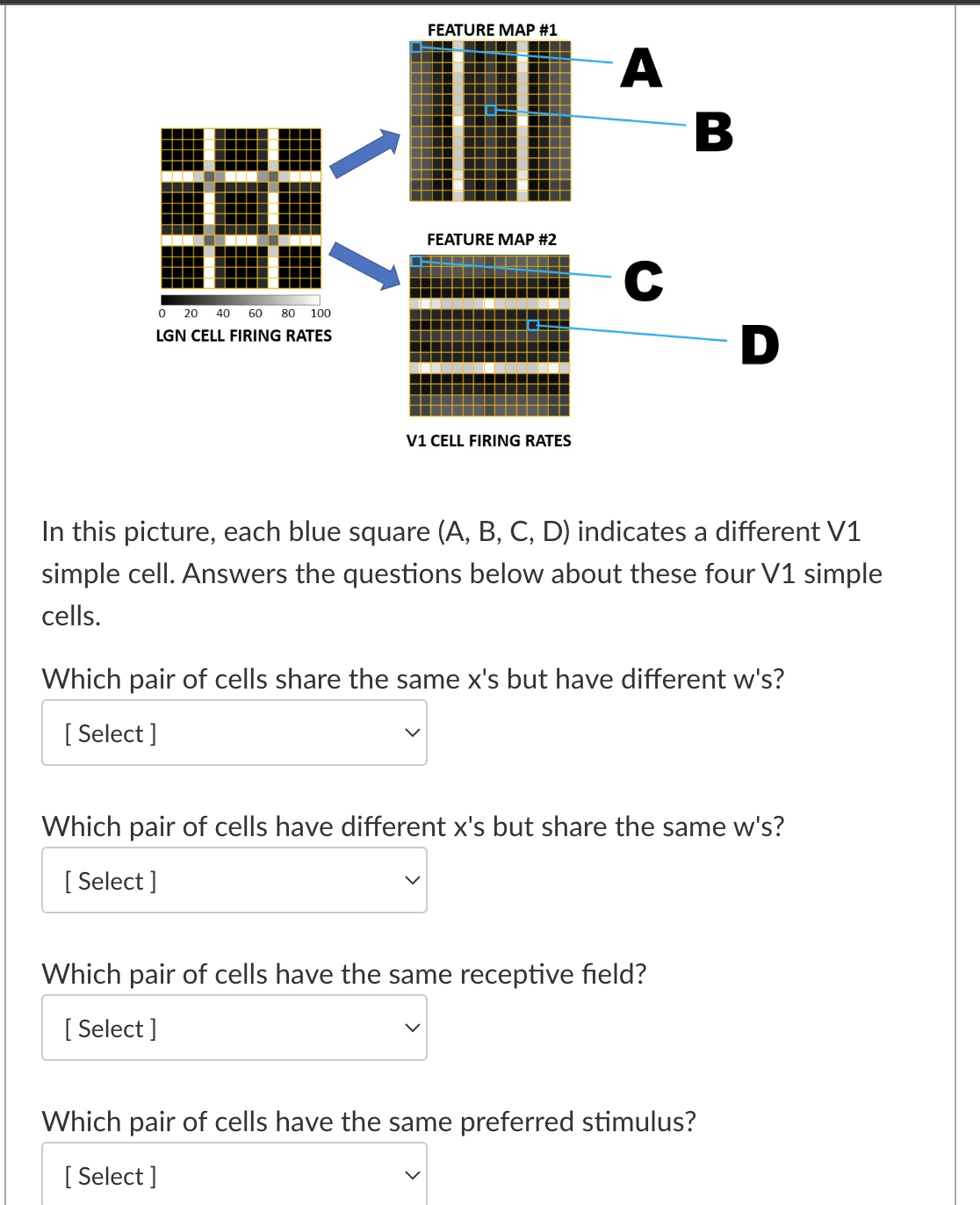 Four Squares Questions