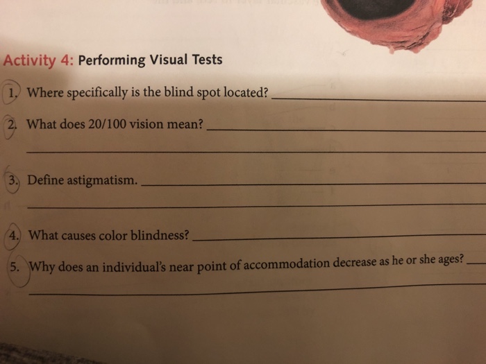 What Is Blind Mean BLINDS