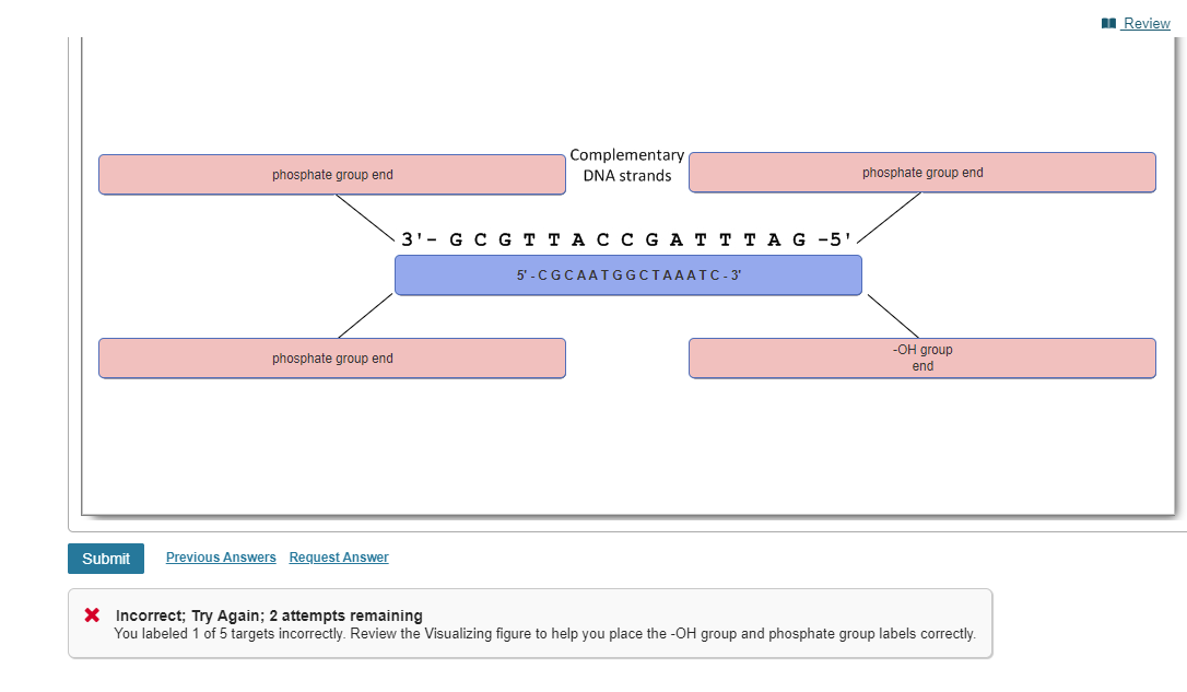 solved-dna-is-a-double-stranded-molecule-made-up-of-chegg