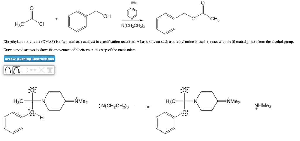 Solved CH3 Нас Cl N(CH2CH3)a Dimethylaminopyridine (DMAP) is | Chegg.com
