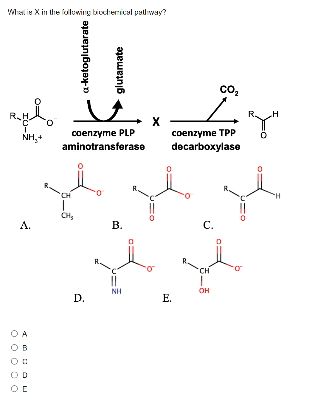 Solved What Is X In The Following Biochemical Pathway? A. B. | Chegg.com