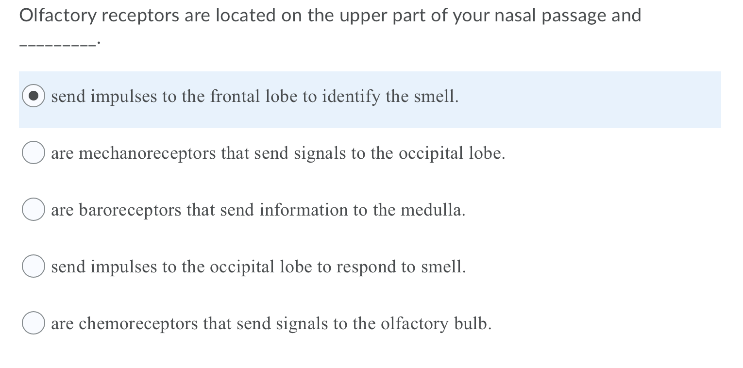 Solved Olfactory receptors are located on the upper part of | Chegg.com