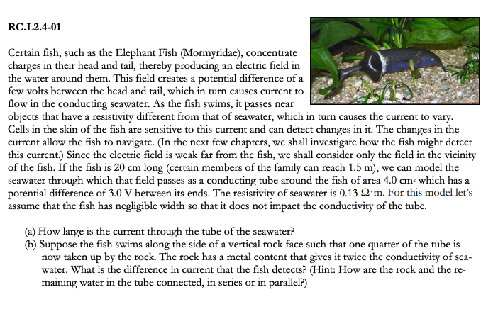 Solved RC.L2.4-01 Certain fish, such as the Elephant Fish | Chegg.com