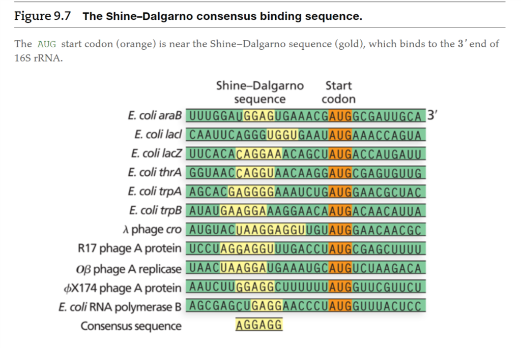 Solved Below is a map for a plasmid called 'GFP Sapl (3337) | Chegg.com