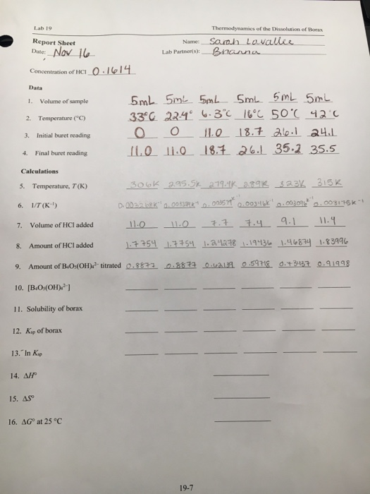Solved Lab 19 Thermodynamics of the Dissolution of Borax