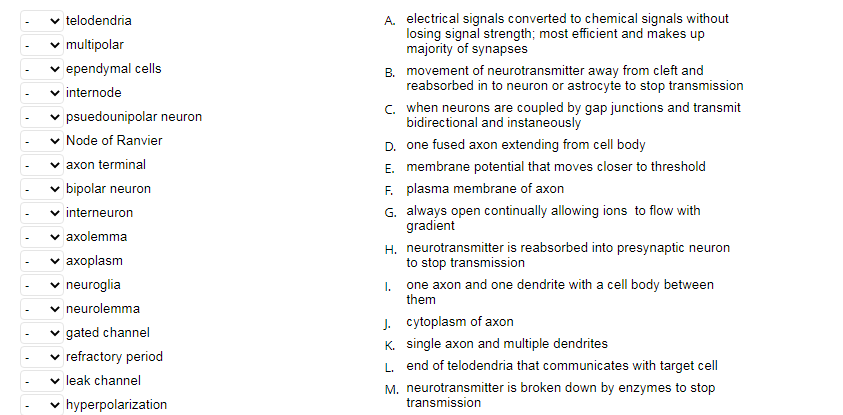 Solved A. electrical signals converted to chemical signals | Chegg.com