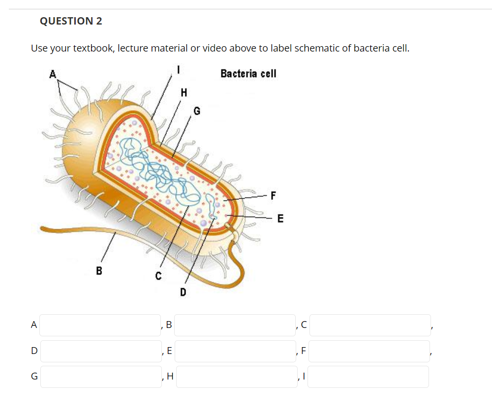 Solved QUESTION 2 Use your textbook, lecture material or | Chegg.com