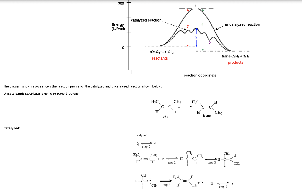 Solved In the catalyzed reaction an iodine radical attacks