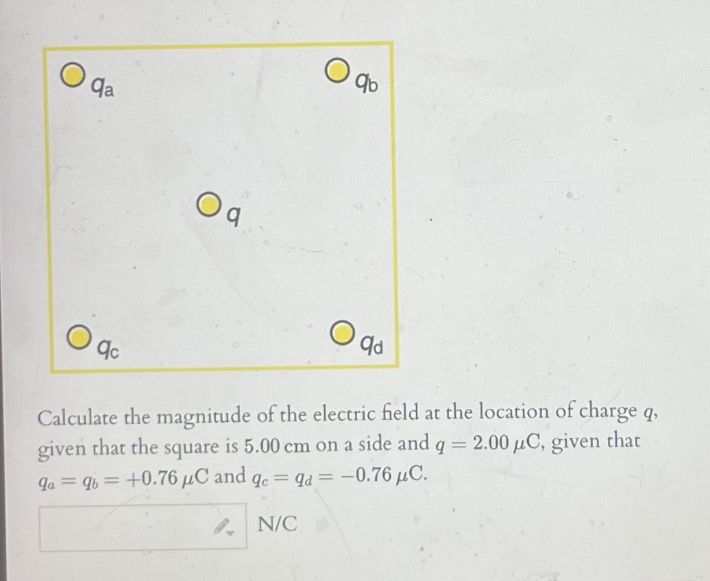 Solved Calculate the magnitude of the electric field at the | Chegg.com