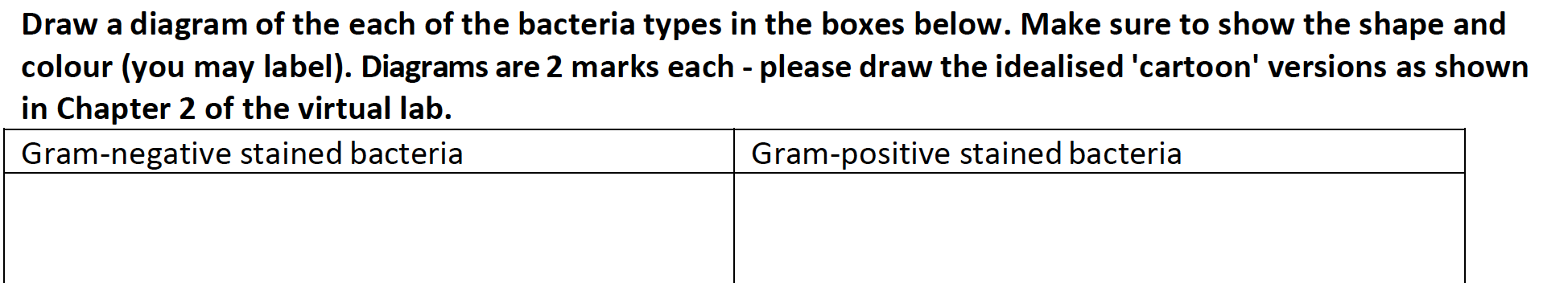 Solved Draw a diagram of the each of the bacteria types in | Chegg.com