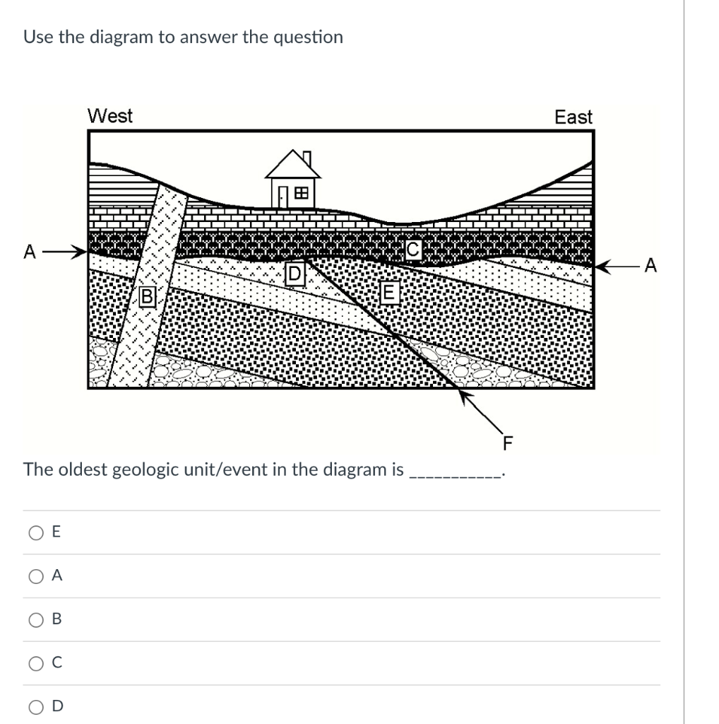 Solved Use the diagram to answer the question I he oldest | Chegg.com