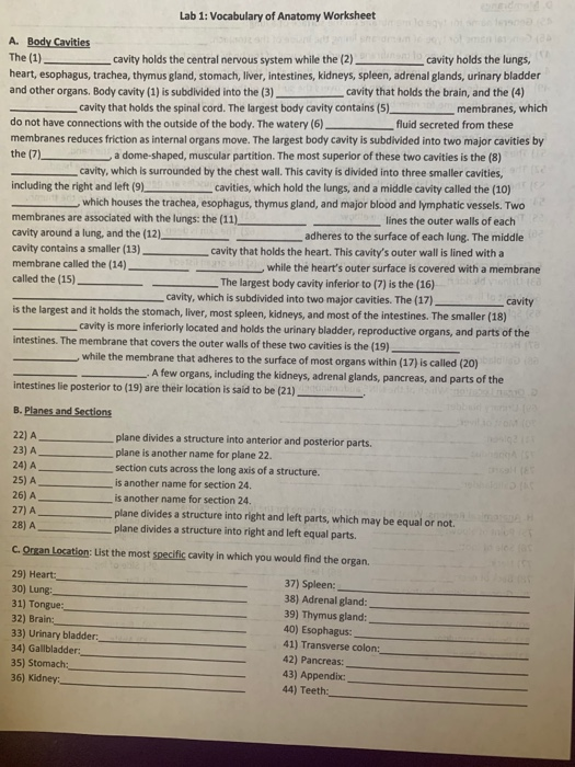 solved lab 1 vocabulary of anatomy worksheet a body chegg com