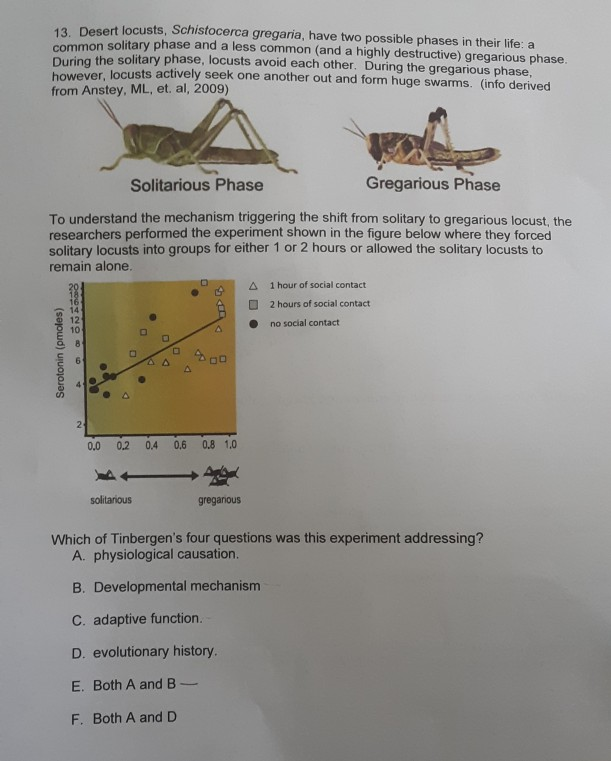 Solved 13 Desert Locusts Schistocerca Gregaria Have Two