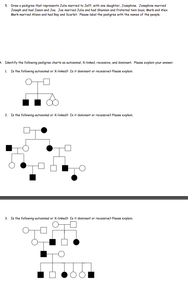 Solved Name Date Pedigree Charts Worksheet(s) Background