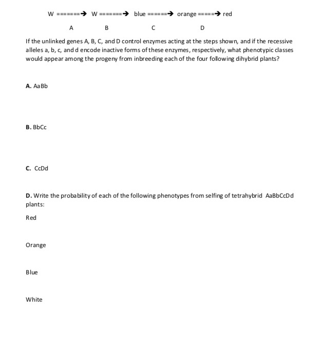 Solved If The Unlinked Genes A, B, C, And D Control Enzymes | Chegg.com
