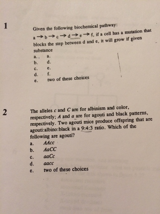 Solved Given The Following Biochemical Pathway: A→b→c → D → | Chegg.com